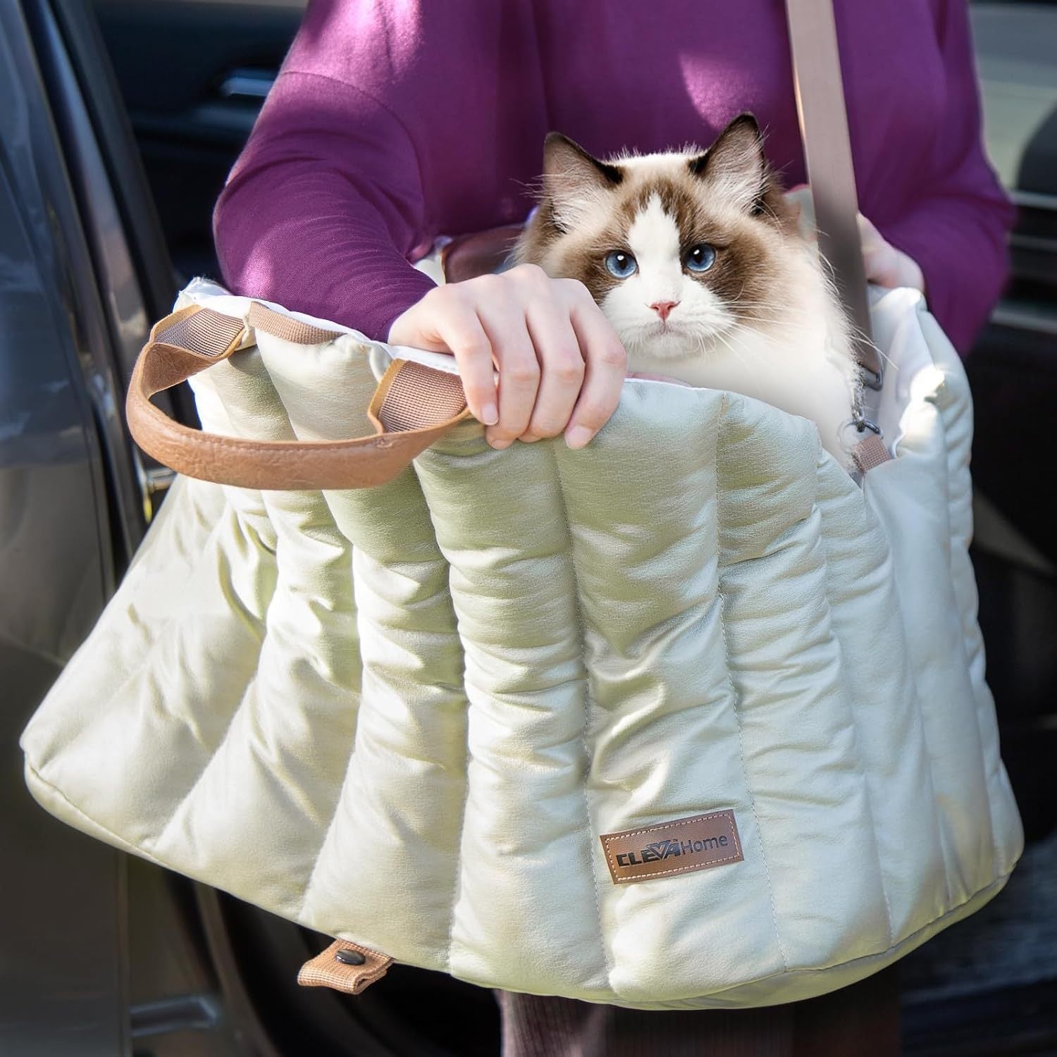 Small Dog Car Seat & Travel Carrier - Non-Slip Booster for Dogs up to 10lbs