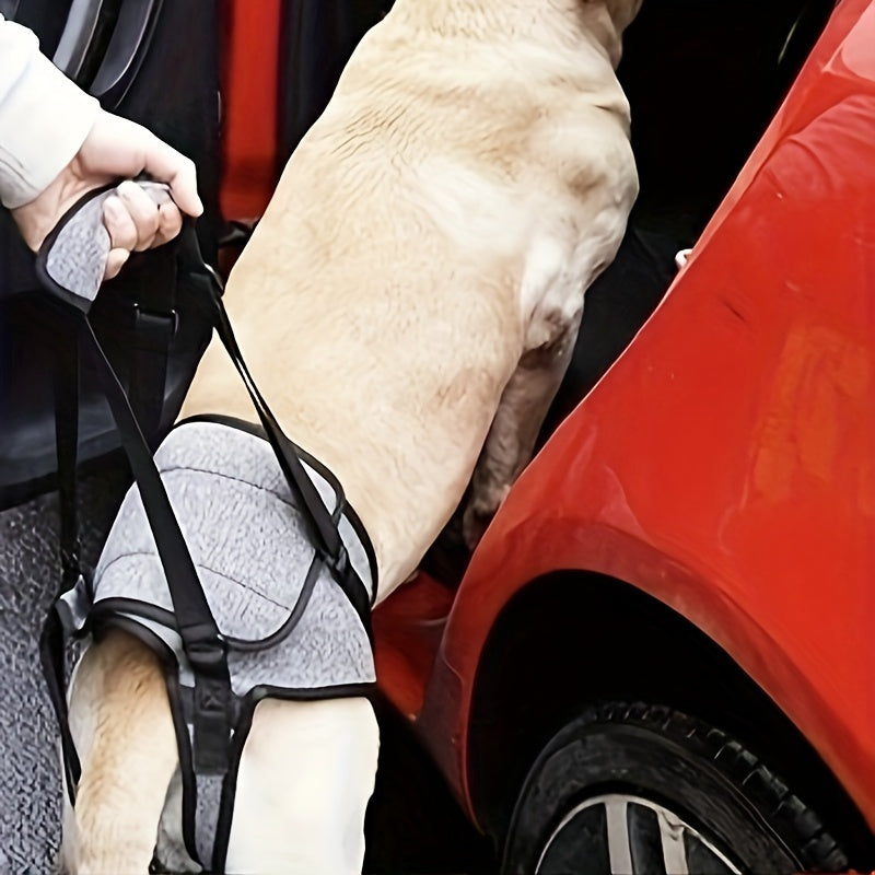 Dog Hind Leg Support Harness - Recovery Aid for Injured & Elderly Dogs