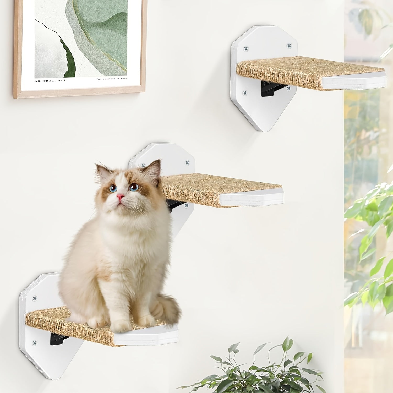 5-Piece Cat Wall Furniture Set - Shelves, Steps & Hammock