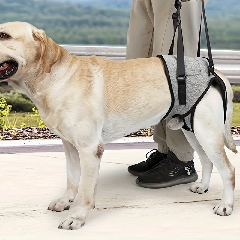 Dog Hind Leg Support Harness - Recovery Aid for Injured & Elderly Dogs