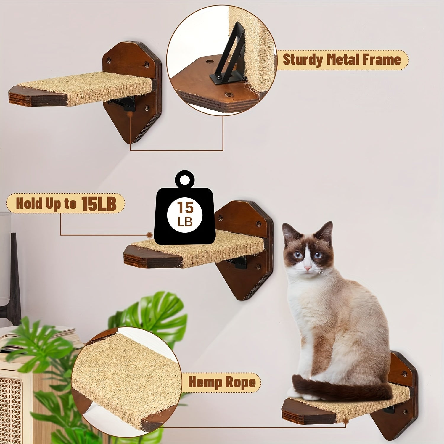 5-Piece Cat Wall Furniture Set - Shelves, Steps & Hammock