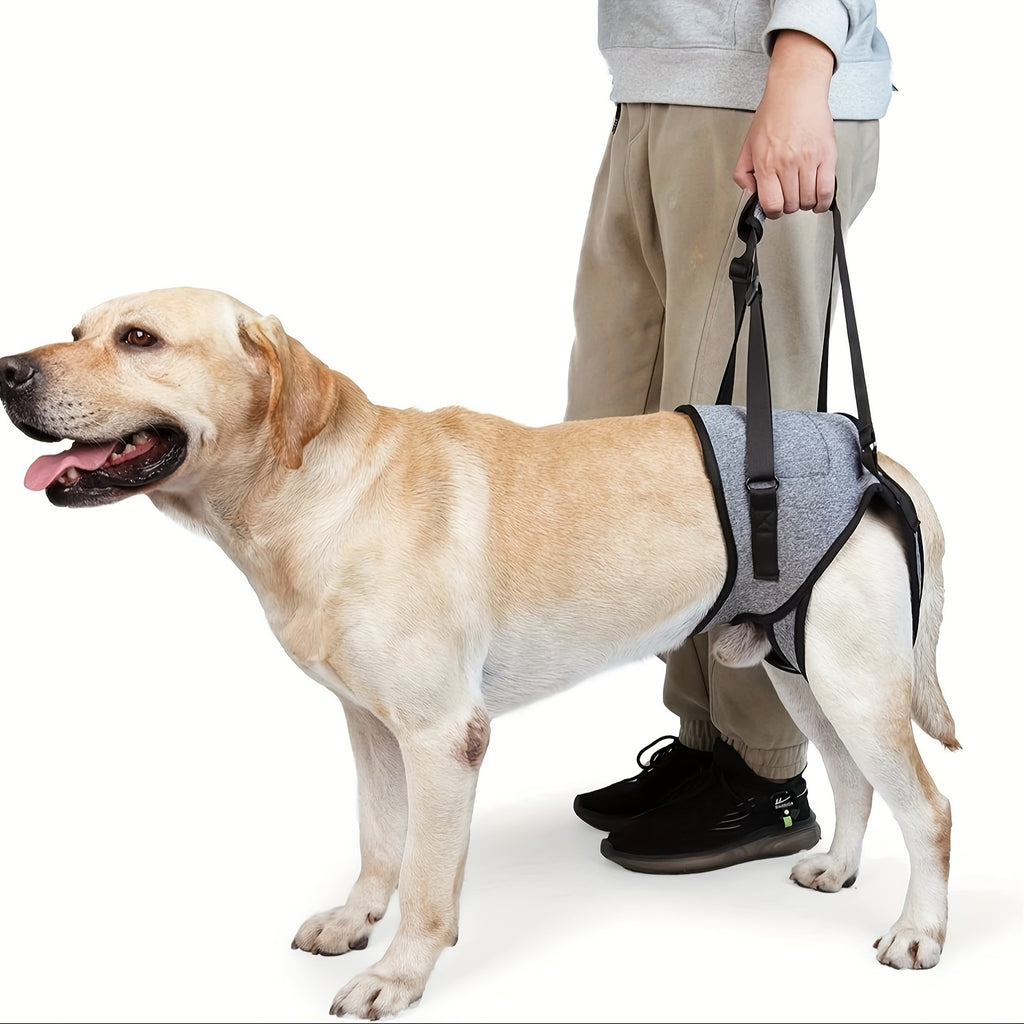 Dog Hind Leg Support Harness - Recovery Aid for Injured & Elderly Dogs