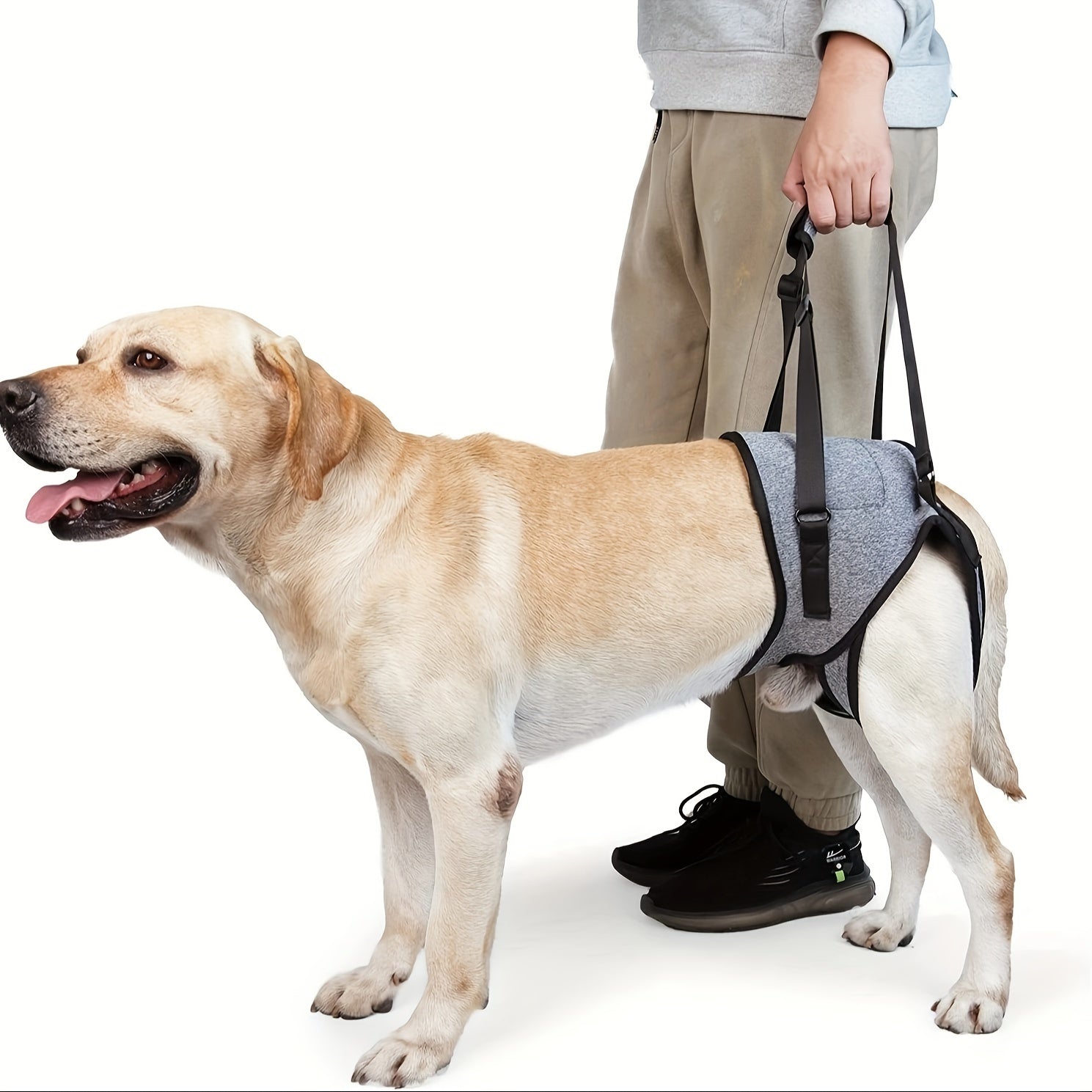 Dog Hind Leg Support Harness - Recovery Aid for Injured & Elderly Dogs