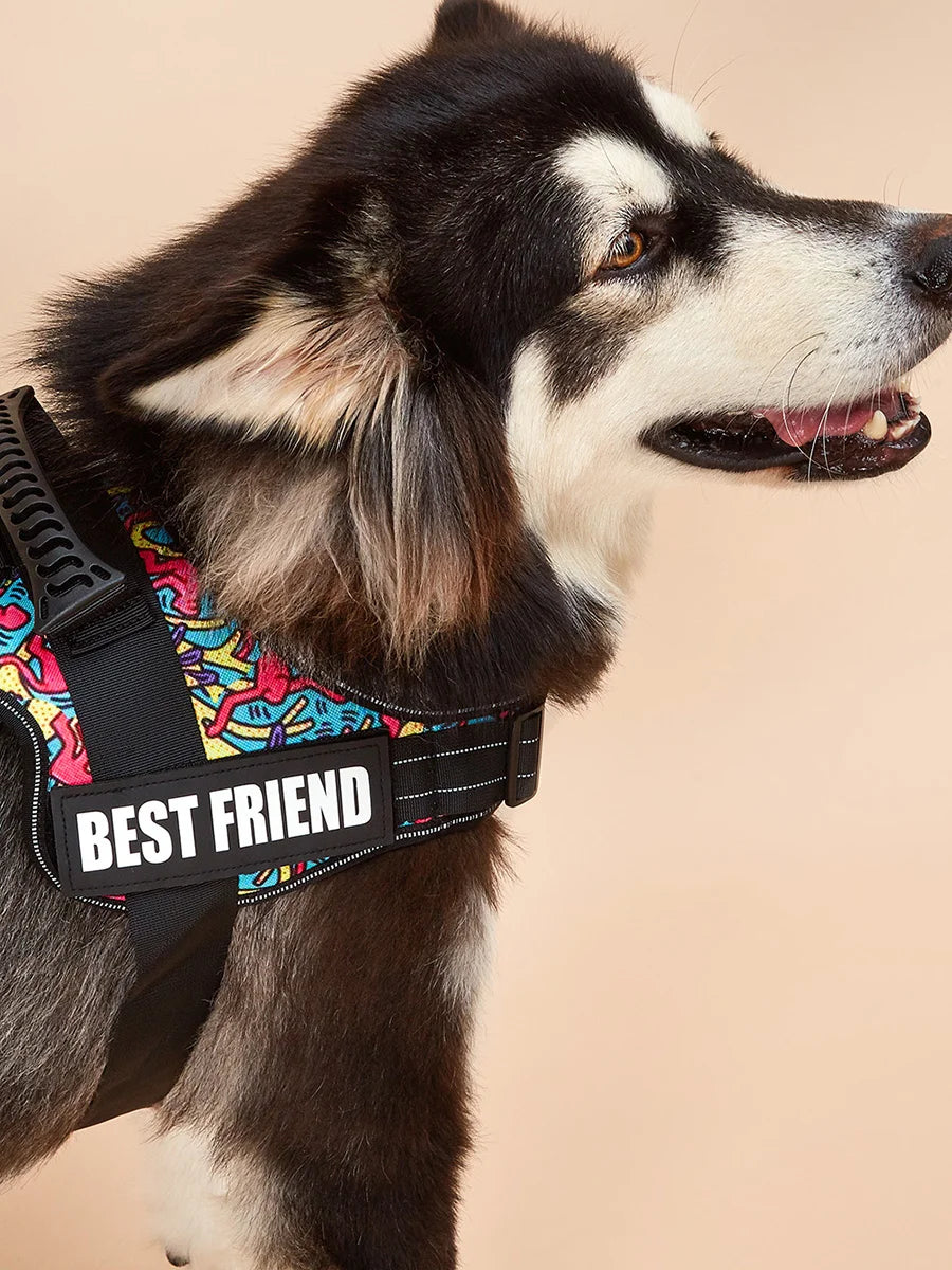 Colorful Dog Harness With Customizable Tags Reflective Dog Collar No Pull Safe Dog Training Walking Climbing Vest Free Shipping