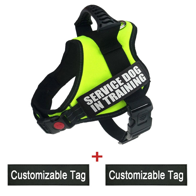 Adjustable Nylon Dog Harness with Custom ID