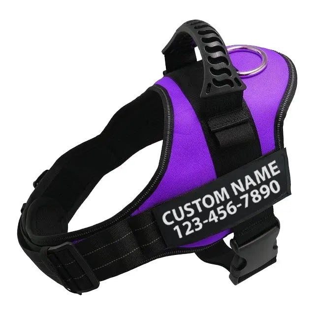 Adjustable Nylon Dog Harness with Custom ID