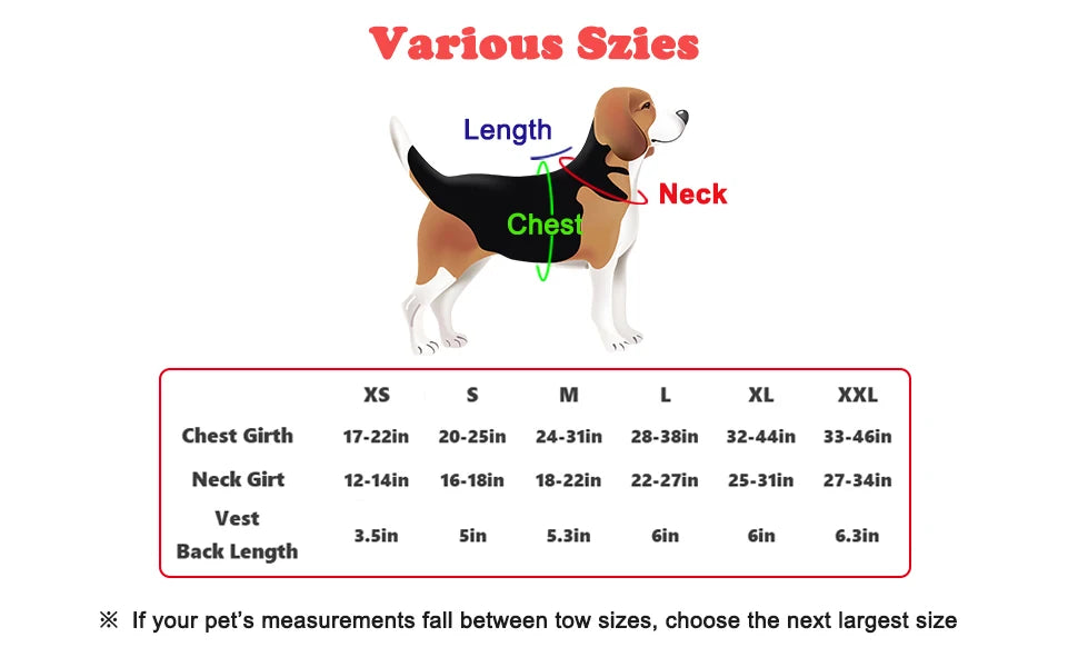 Colorful Dog Harness With Customizable Tags Reflective Dog Collar No Pull Safe Dog Training Walking Climbing Vest Free Shipping