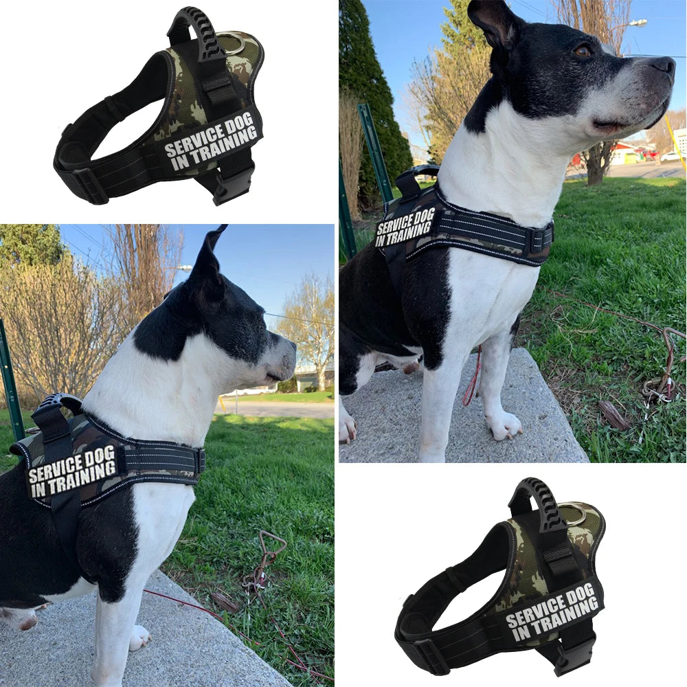 Adjustable Nylon Dog Harness with Custom ID