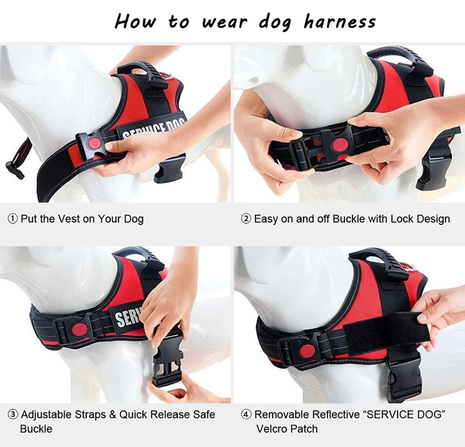 Adjustable Nylon Dog Harness with Custom ID