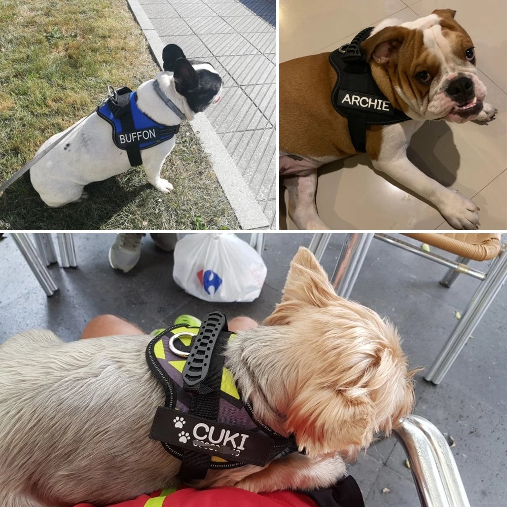 Adjustable Nylon Dog Harness with Custom ID