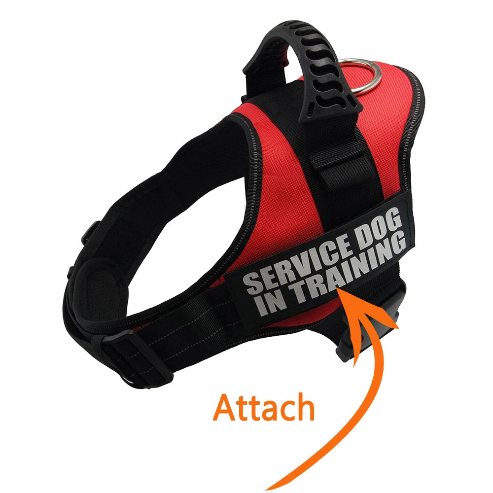Adjustable Nylon Dog Harness with Custom ID