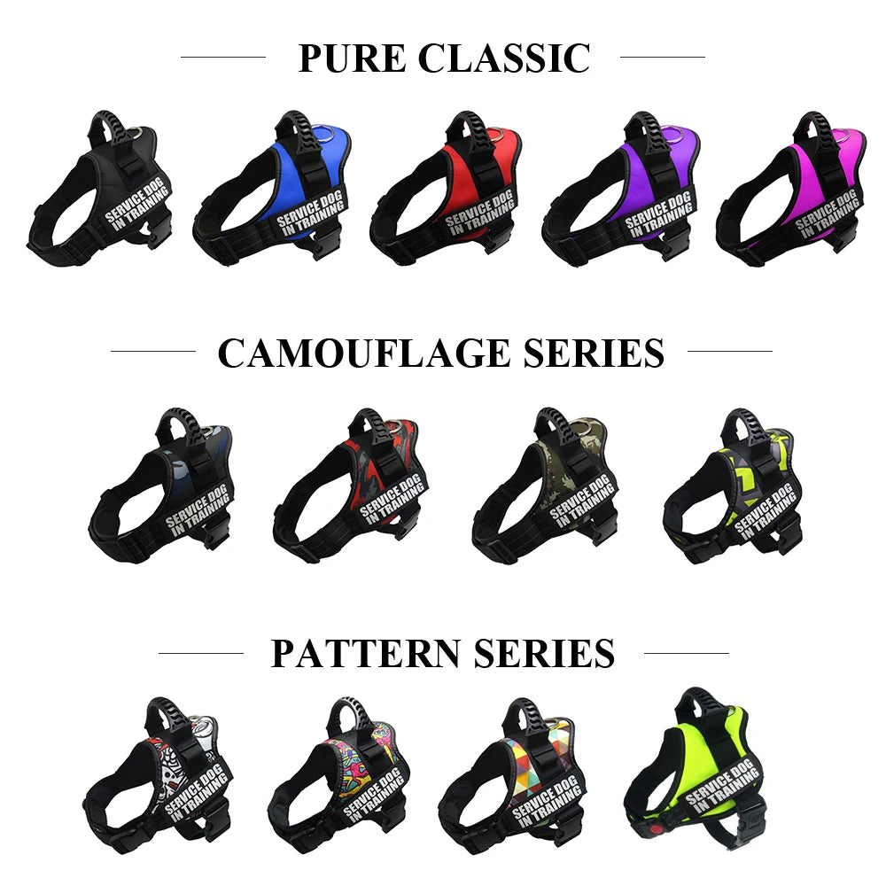 Adjustable Nylon Dog Harness with Custom ID