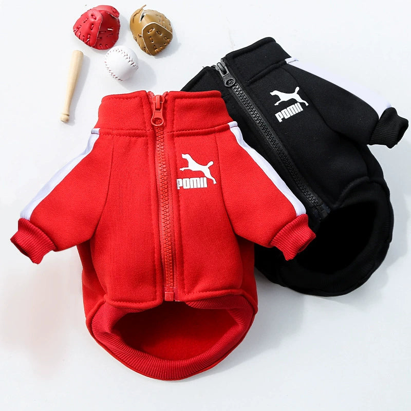 Small Dog Warm Hoodie - Autumn Winter Clothing