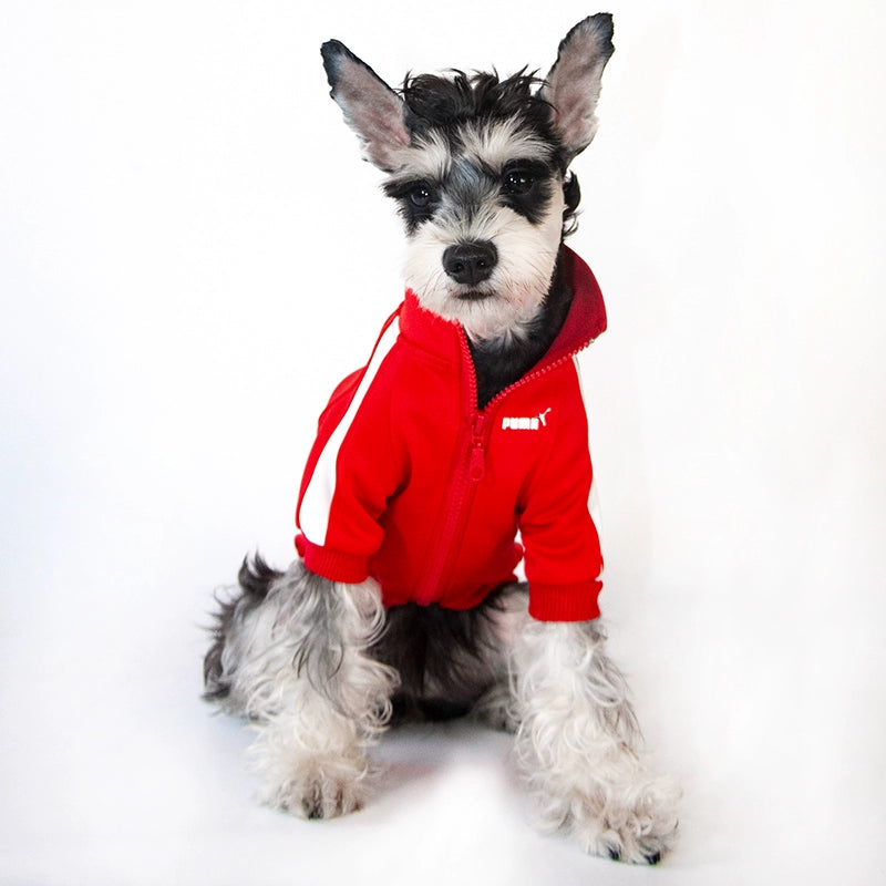 Small Dog Warm Hoodie - Autumn Winter Clothing