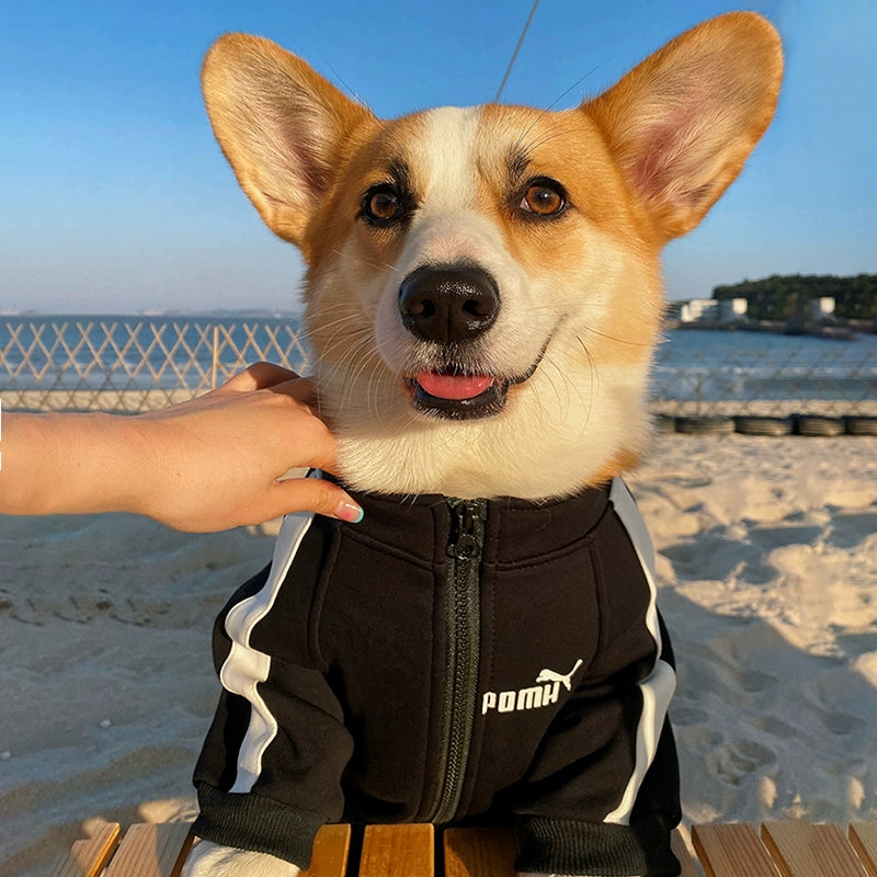 Small Dog Warm Hoodie - Autumn Winter Clothing
