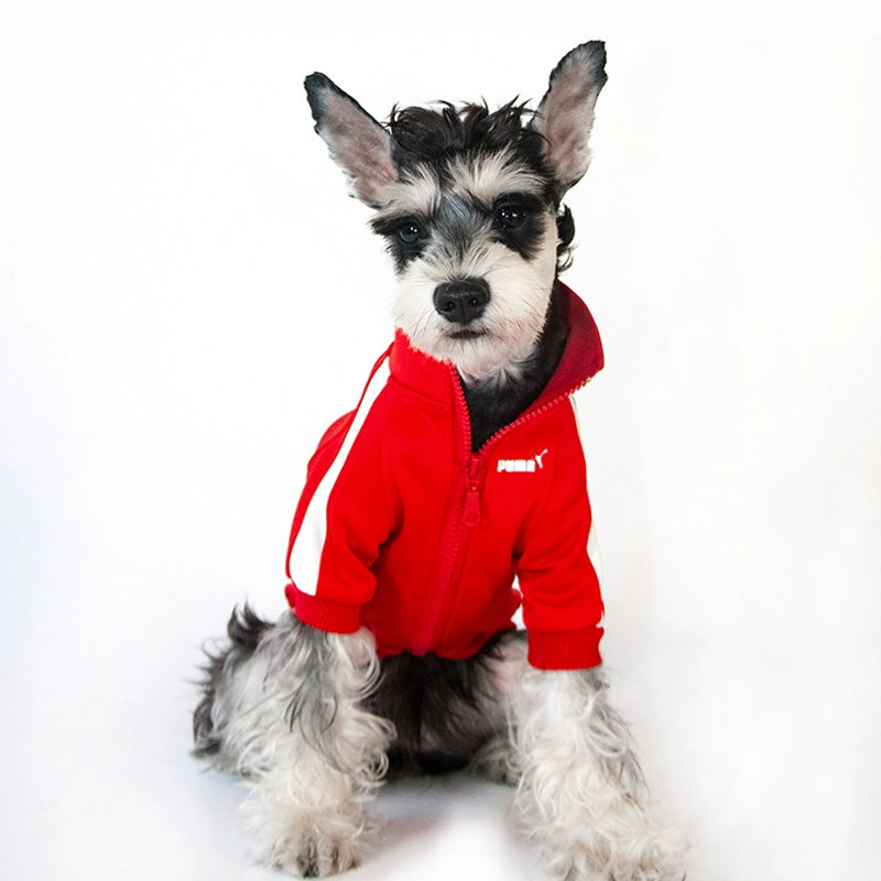 Small Dog Warm Hoodie - Autumn Winter Clothing