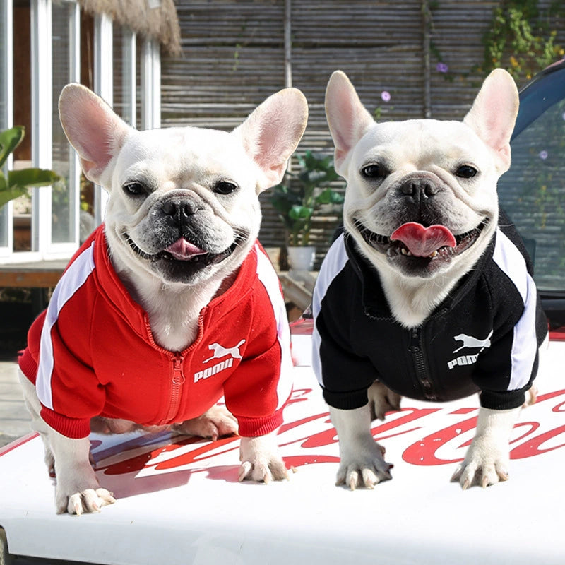 Small Dog Warm Hoodie - Autumn Winter Clothing