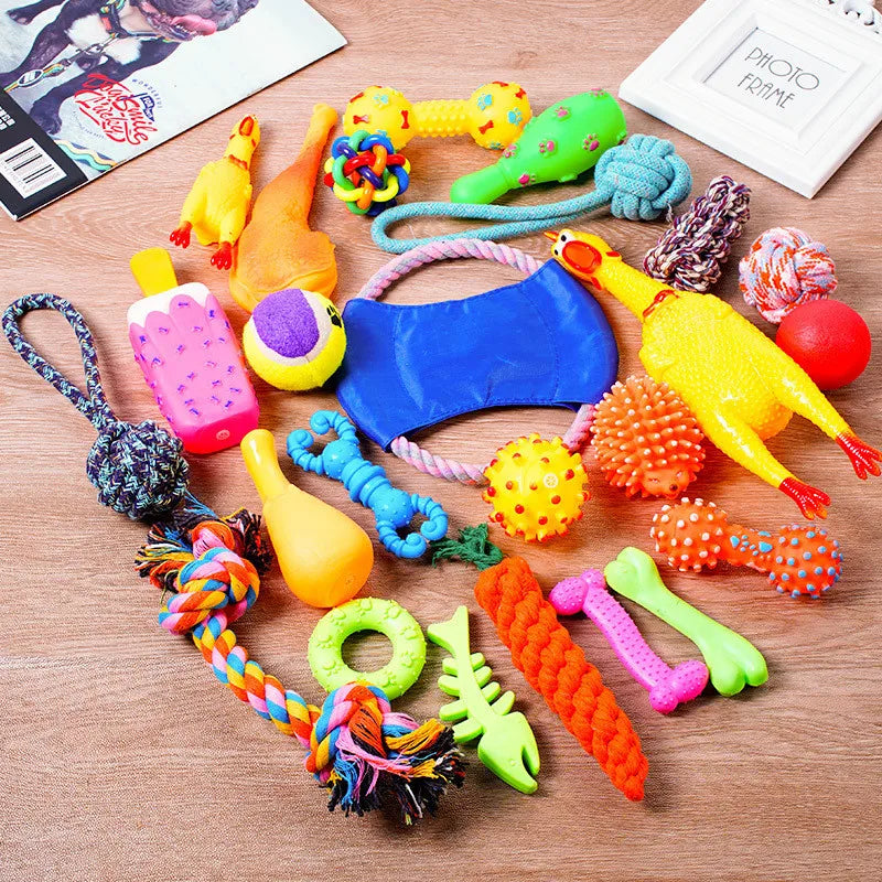 Dog Toy Kit - Ball, Bone, Rope & Squeaky Toys