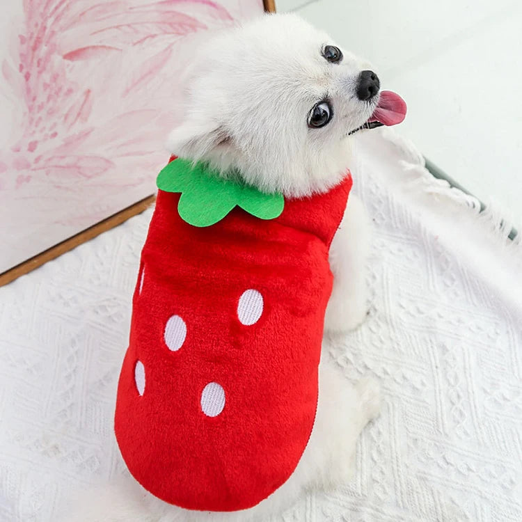 Soft Fleece Dog Coat - Warm Winter Jacket for Small & Medium Dogs