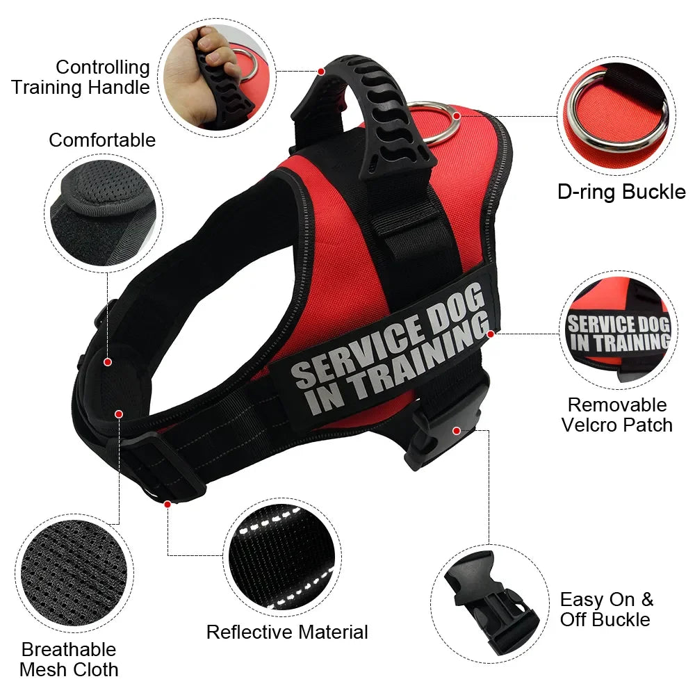 Adjustable Nylon Dog Harness with Custom ID