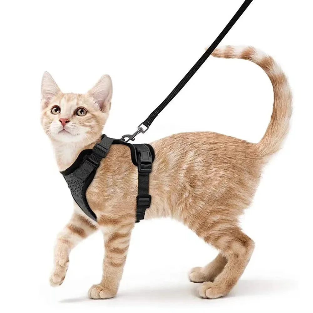 Escape-Proof Cat Harness & Leash Set - Breathable Vest with Reflective Strips