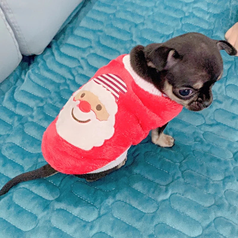 Cute Print Teacup Dog Sweater