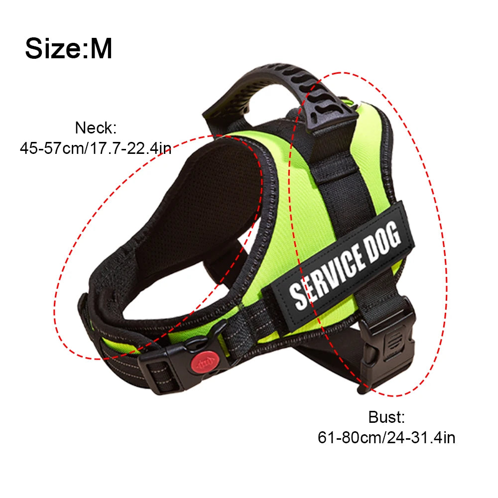 Safety No-Pull Harness for Small Dogs