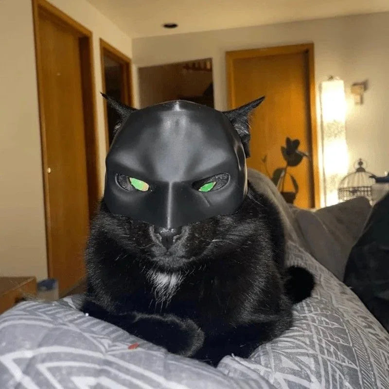 Cat Avenger Mask Black Bat Halloween Cosplay Hat Cat Funny Toys Cool Cat Masks Photos Props Pet Accessories
