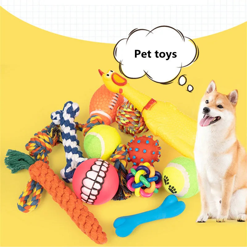 Dog Toy Kit - Ball, Bone, Rope & Squeaky Toys