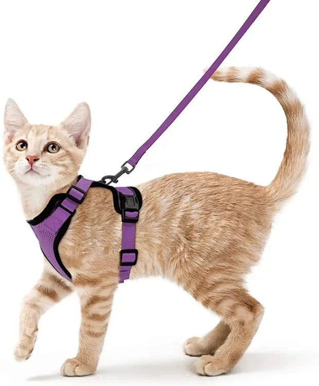 Escape-Proof Cat Harness & Leash Set - Breathable Vest with Reflective Strips