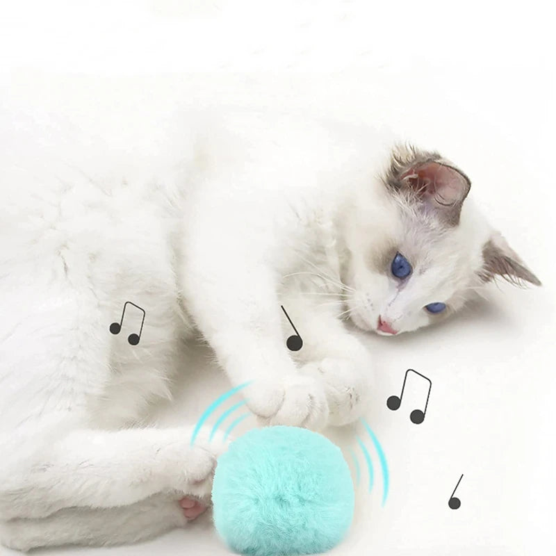 Smart Interactive Cat Ball - Touch Activated Squeaky Catnip Toy