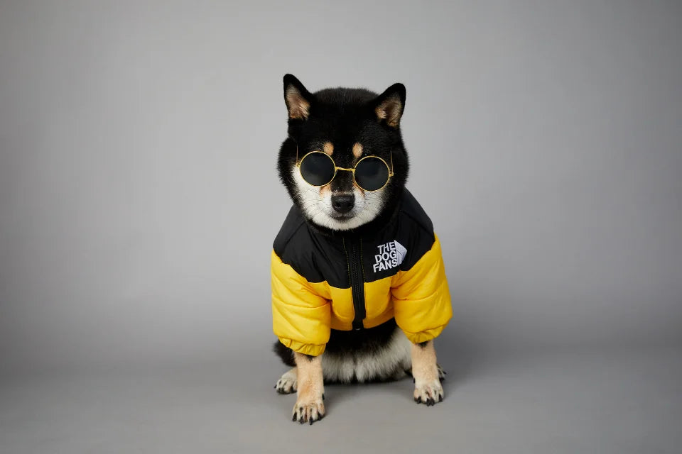 Winter Dog Down Jacket - Warm Thick Vest