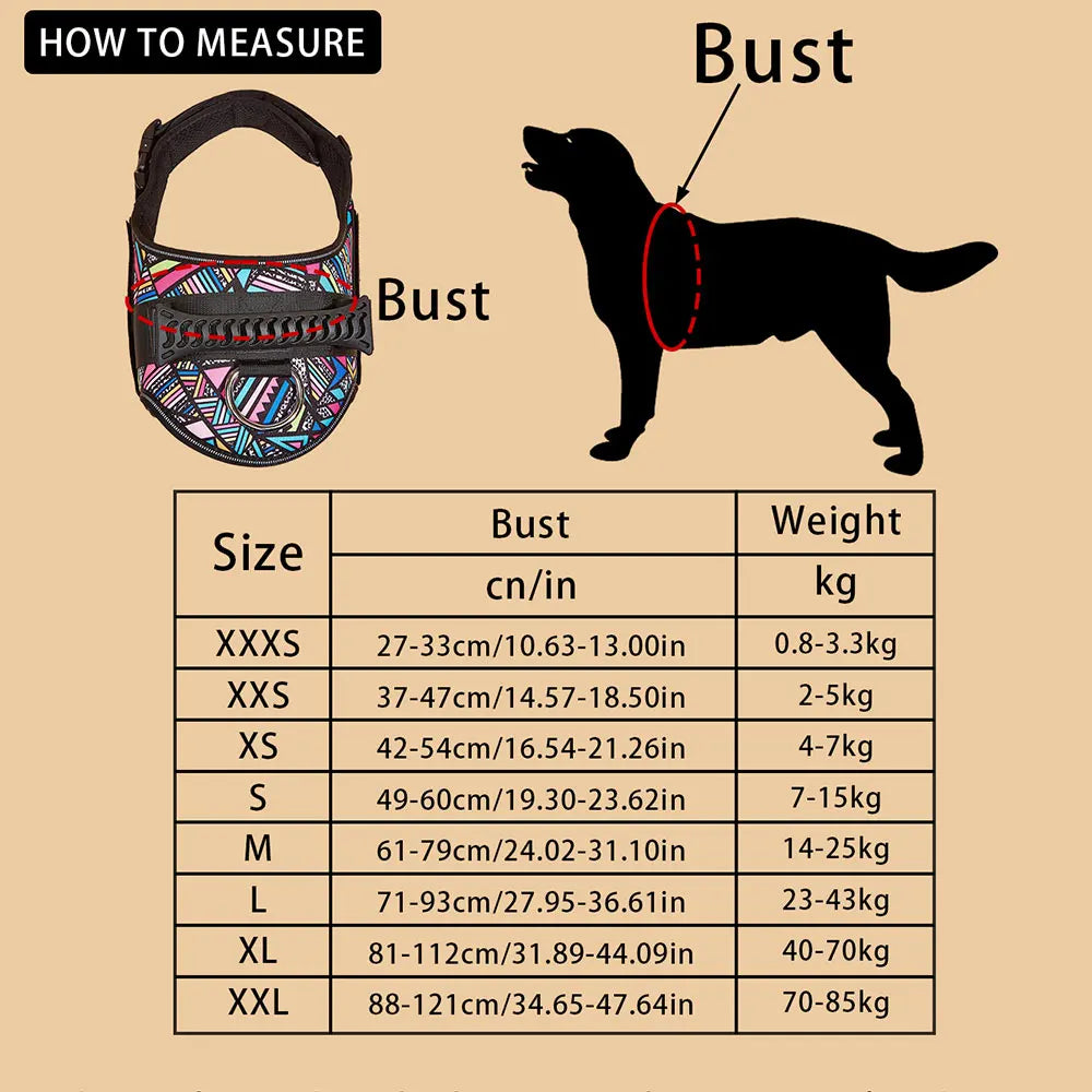 Safety No-Pull Harness for Small Dogs