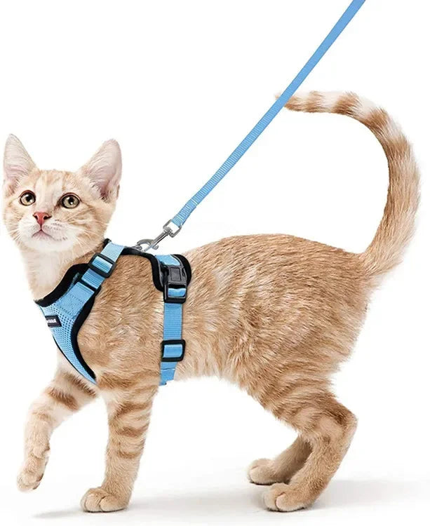 Escape-Proof Cat Harness & Leash Set - Breathable Vest with Reflective Strips