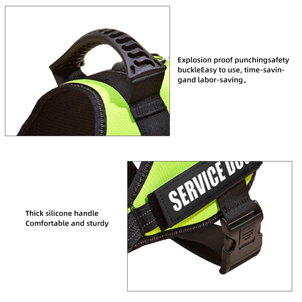Safety No-Pull Harness for Small Dogs