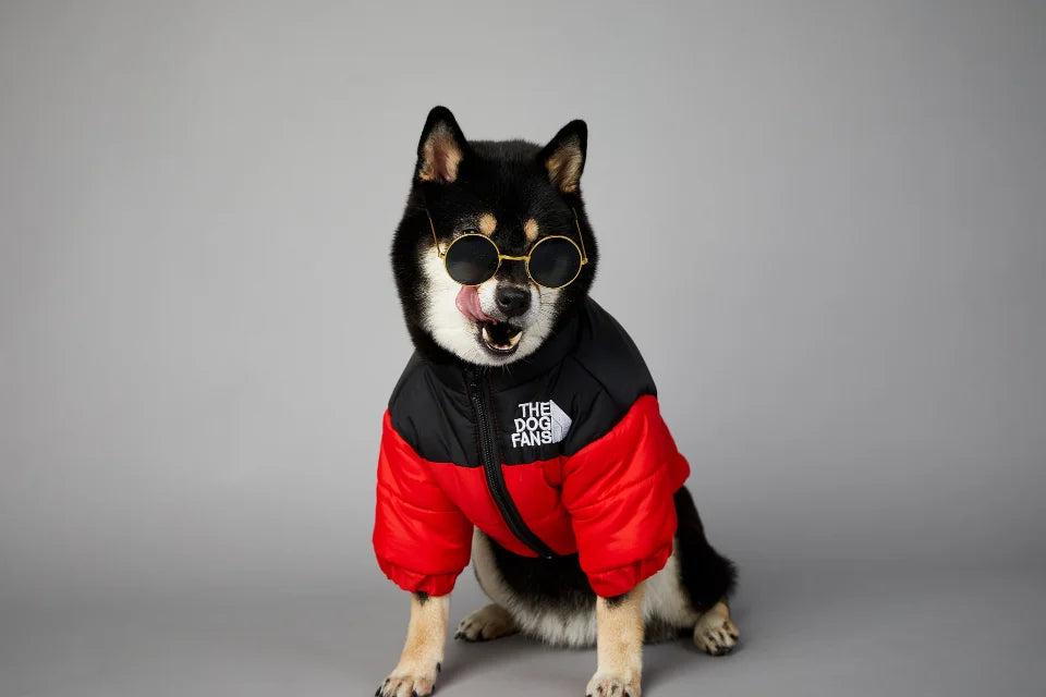 Winter Dog Down Jacket - Warm Thick Vest