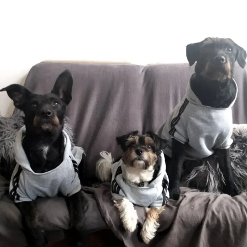 Adidog Dog Hoodie - Warm Winter Coat for Medium & Large Dogs