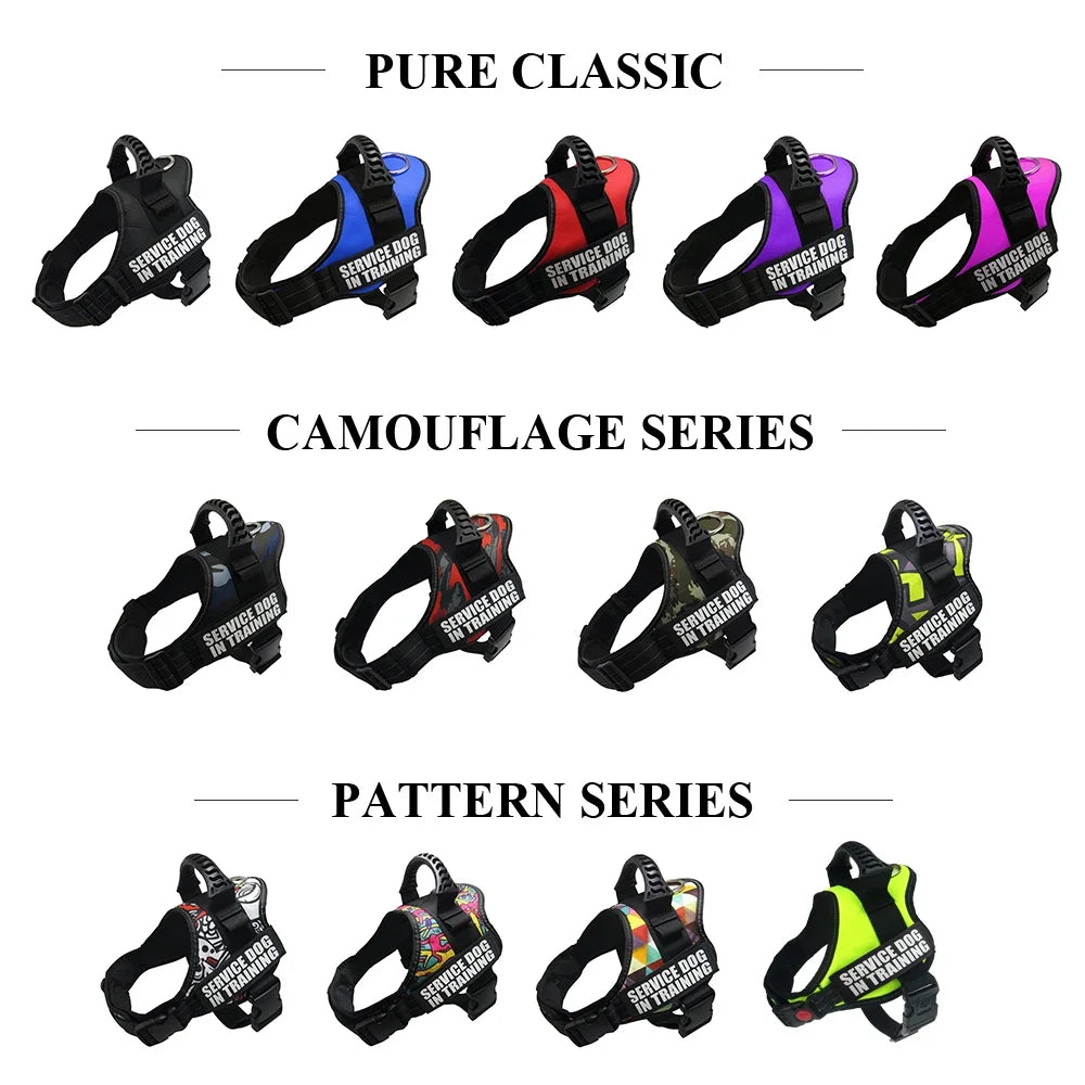 Adjustable Nylon Dog Harness with Custom ID