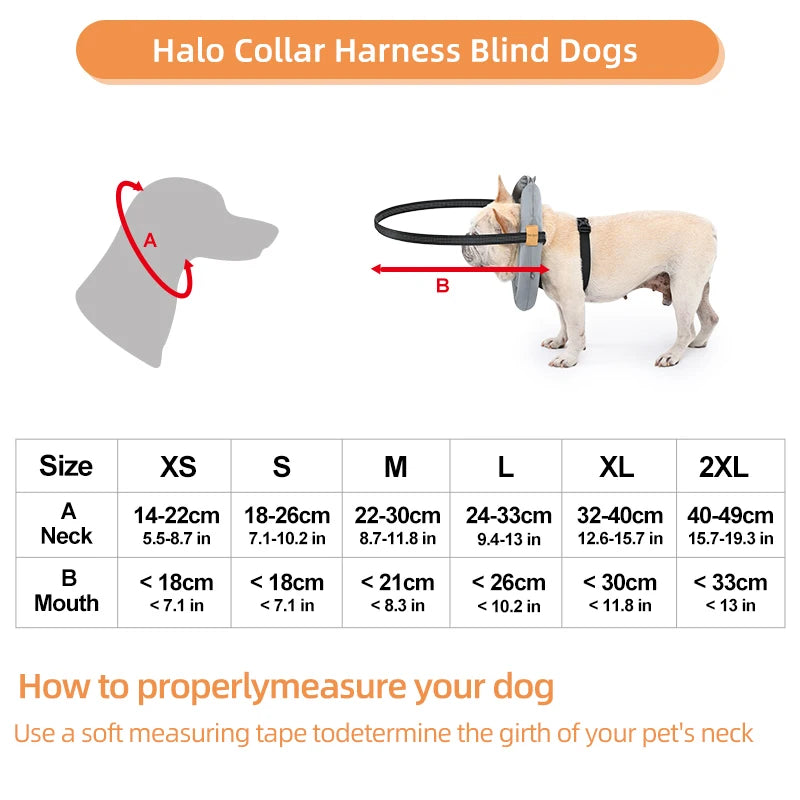 Blind Dog Safety Collar - Anti-Collision Protection Harness with Reflective Strips