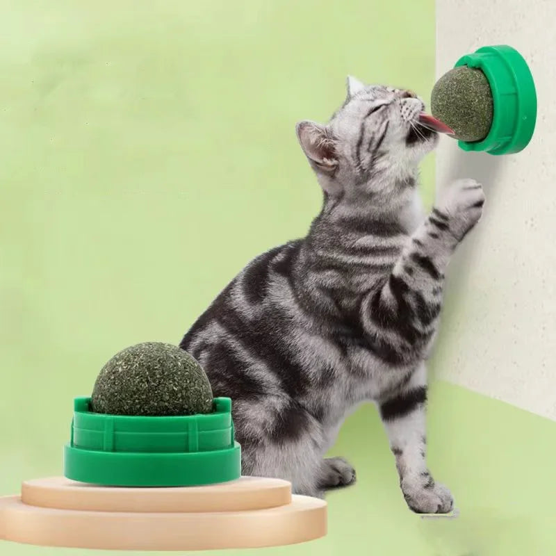 Catnip Wall Stick-on Ball
