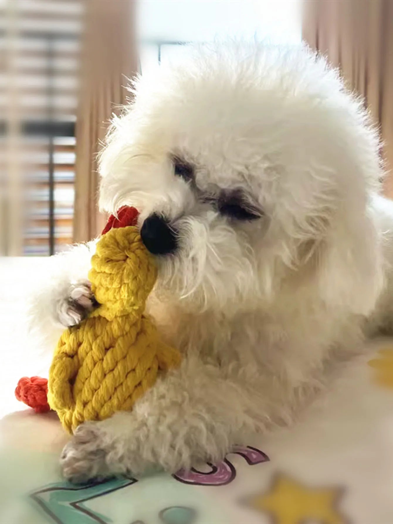 Hand-Woven Cotton Rope Dog Toy - Teeth Resistant Chew Toy