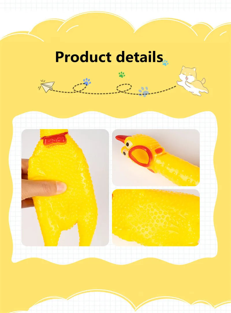 Dog Toy Kit - Ball, Bone, Rope & Squeaky Toys