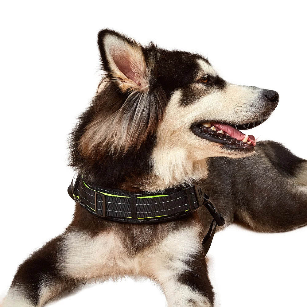 Safety No-Pull Harness for Small Dogs