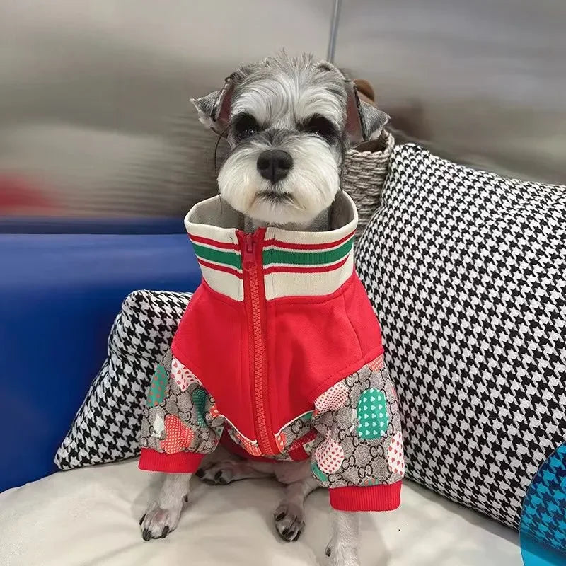 Designer Winter Dog Hoodie