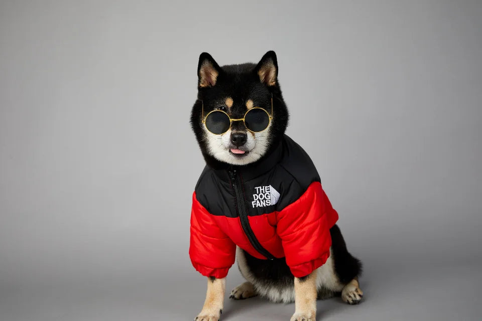 Winter Dog Down Jacket - Warm Thick Vest