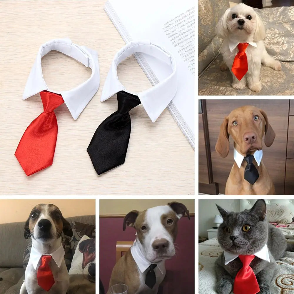 Pet Tuxedo Bow Tie Collar - Formal Accessory for Dogs & Cats