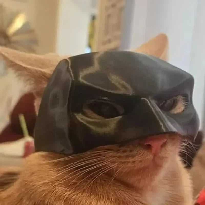 Cat Avenger Mask Black Bat Halloween Cosplay Hat Cat Funny Toys Cool Cat Masks Photos Props Pet Accessories