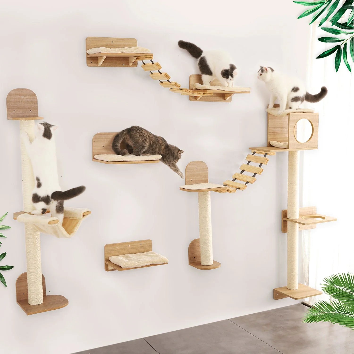Franklin's Pick: Wall-Mounted Cat Climbing Rope - Space-Saving Fun