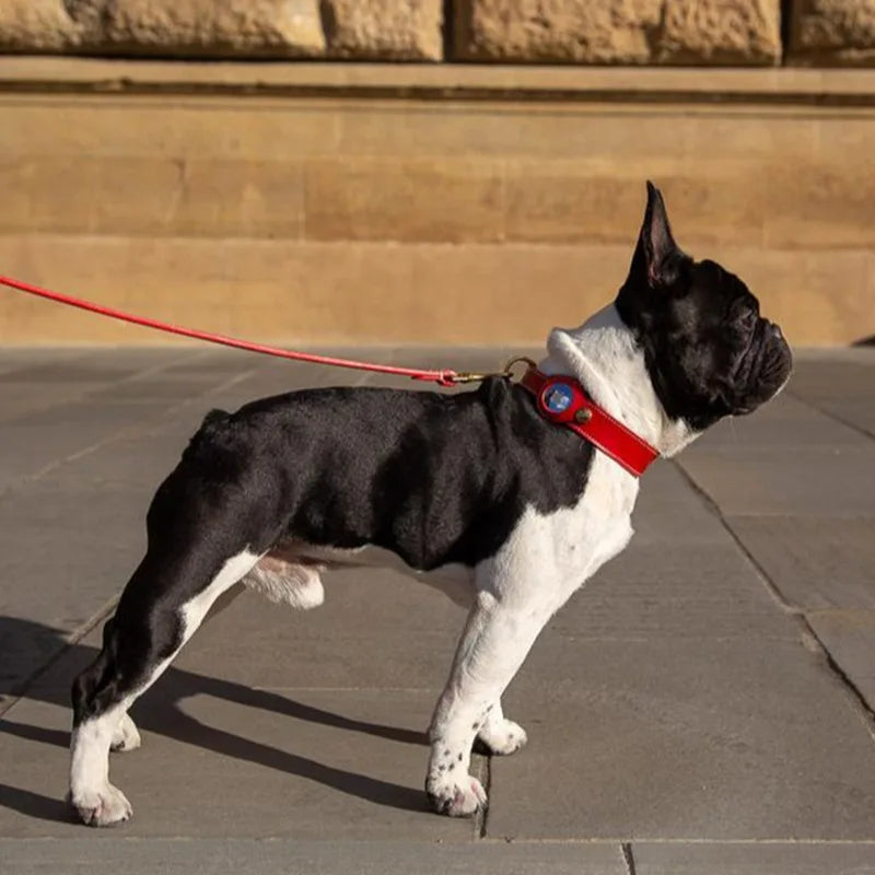 Premium Leather Dog Collar with AirTag Holder - Anti-Lost Pet Tracking