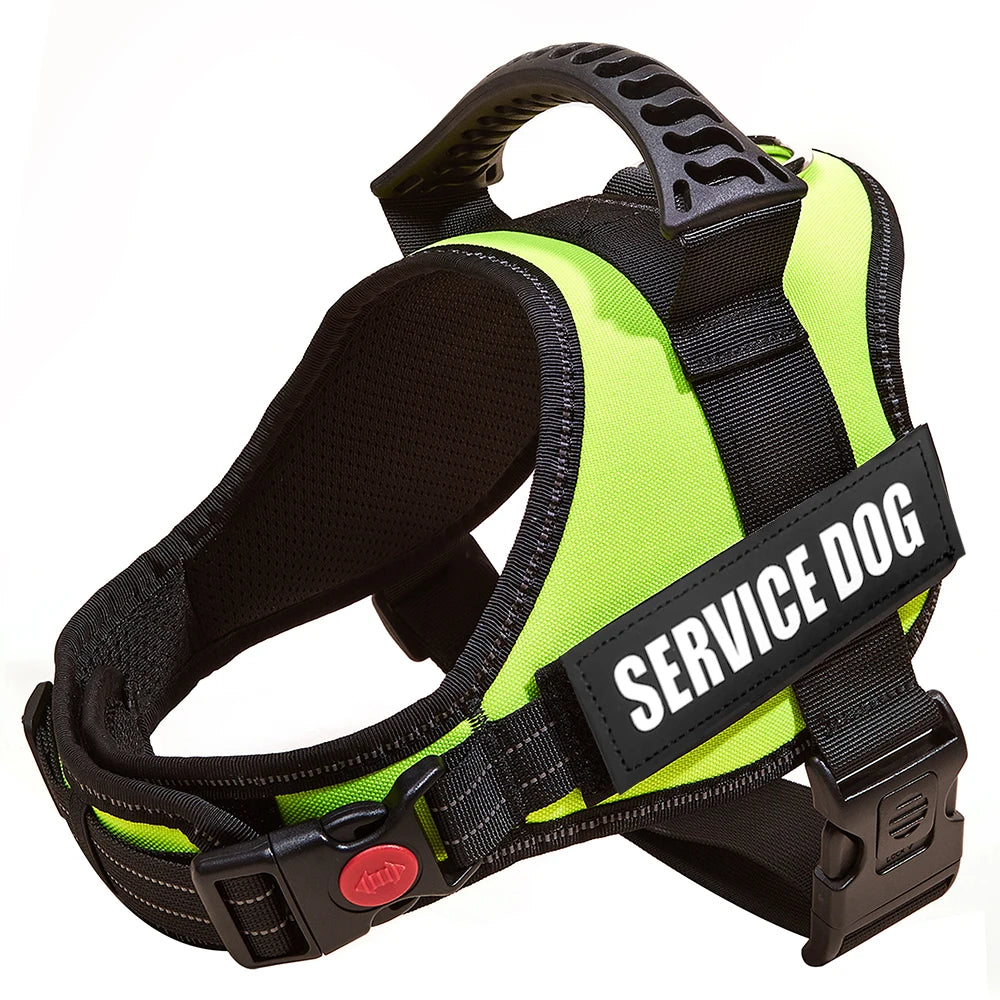 Safety No-Pull Harness for Small Dogs